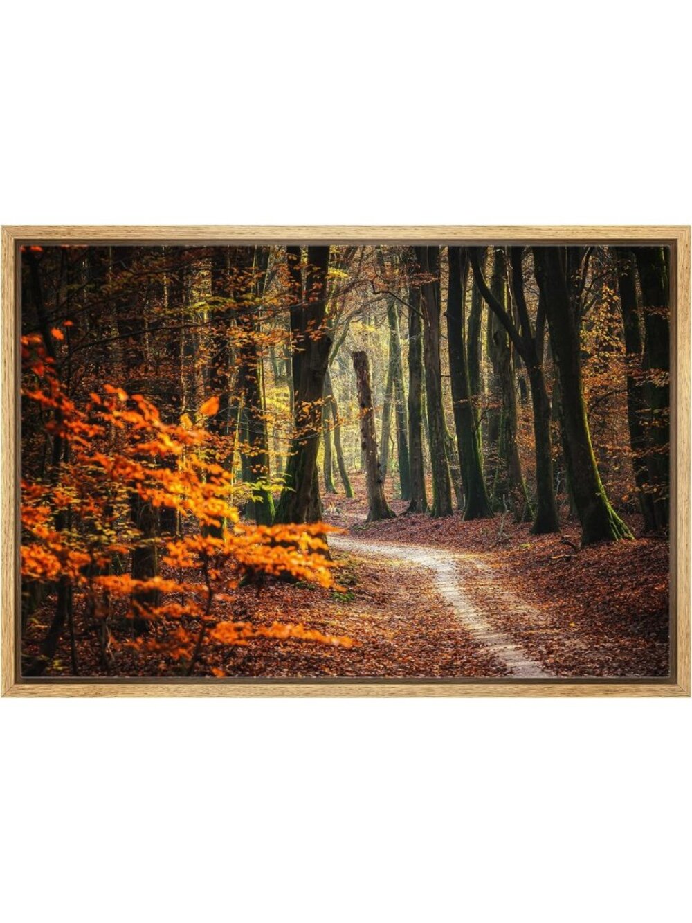 Autumn Fall Canvas Wall Art - Orange Leaf Forest Landscape Print for Home Decor